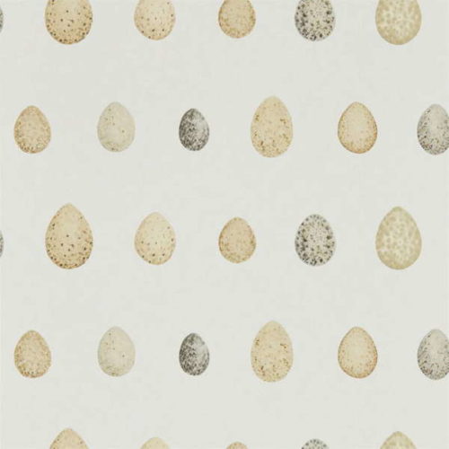 Nest Egg 216505